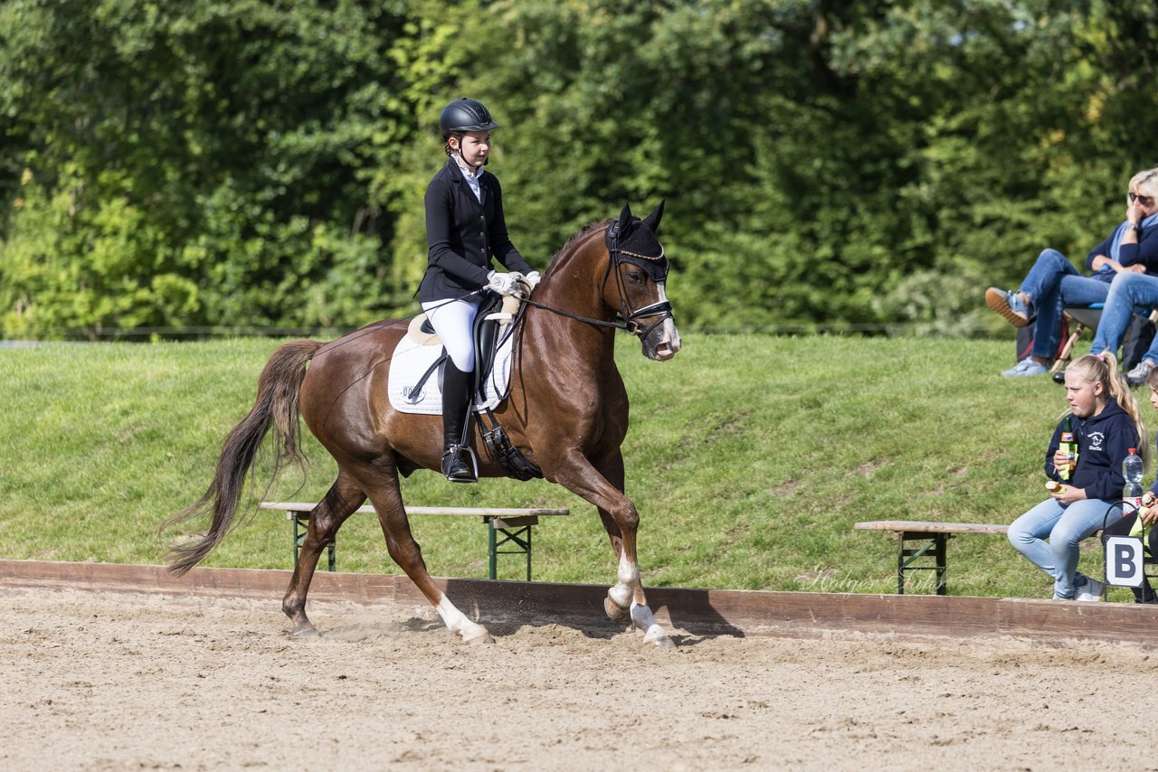 Bild 635 - Pony Akademie Turnier